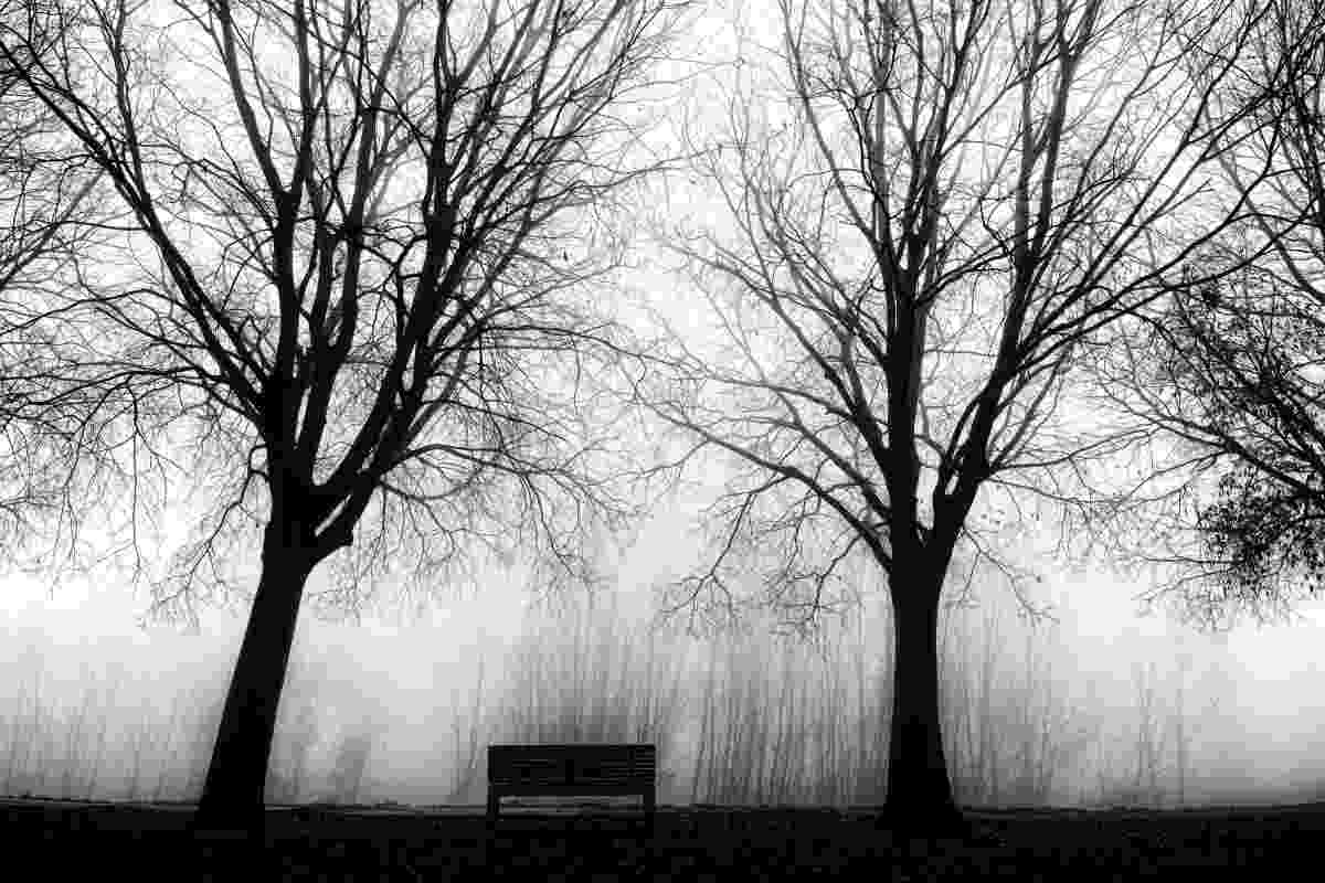 Open Monochrome sample photograph 2