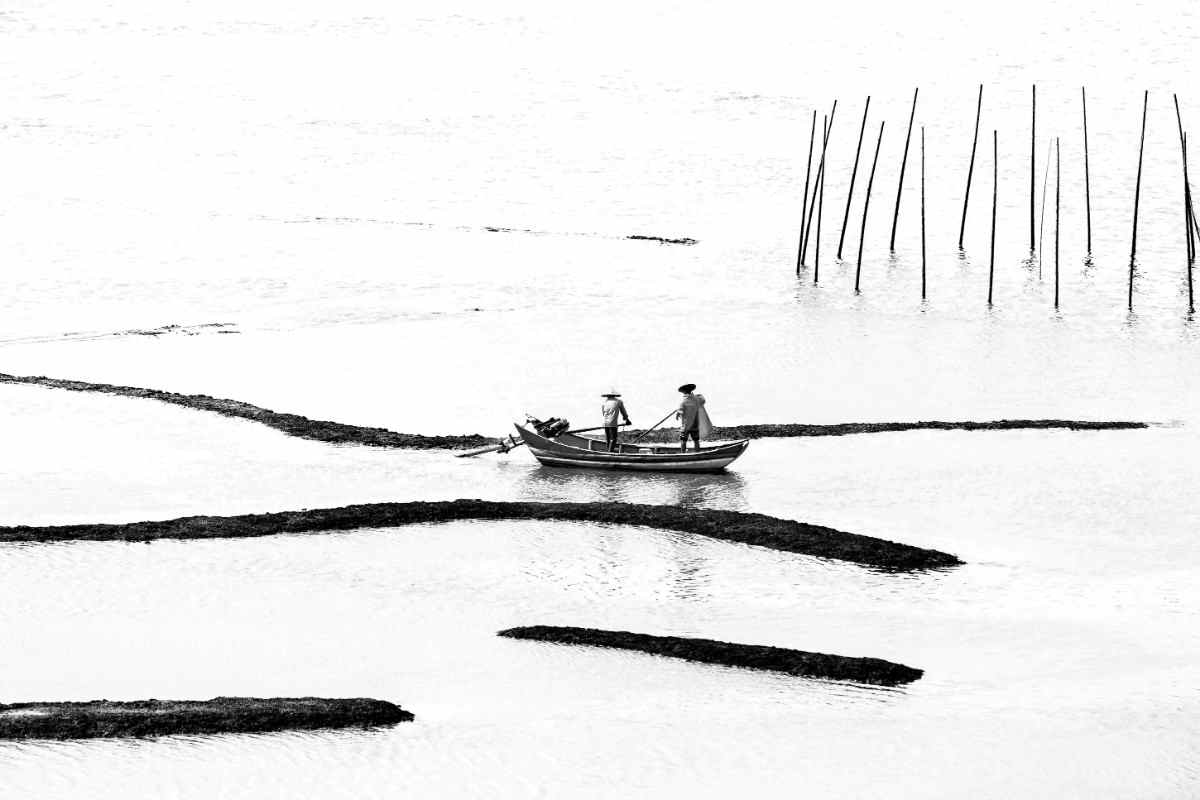 Open Monochrome sample photograph 3