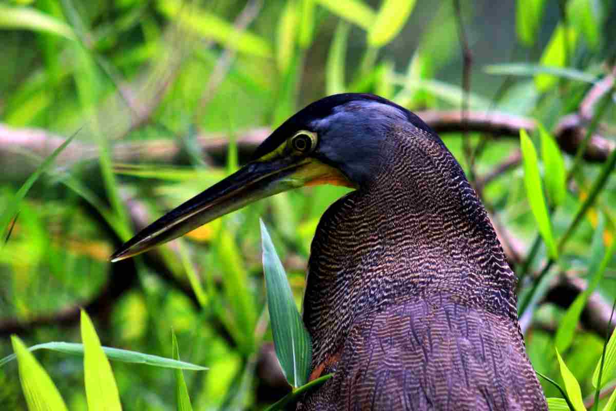 Nature General sample photograph 2